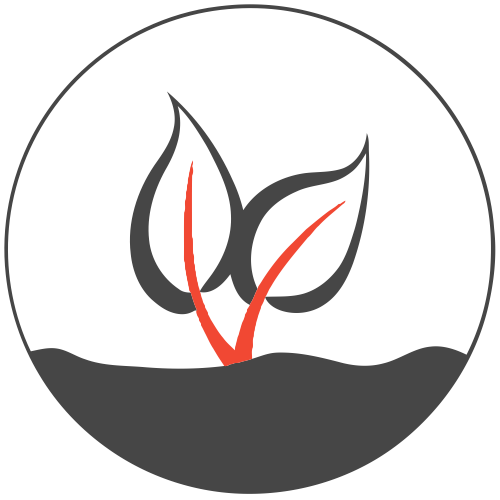 Перевірка грунтових обстежень